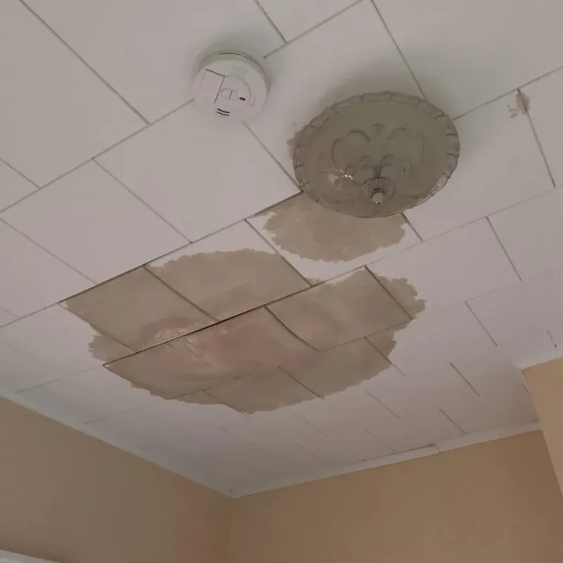 Ceiling Water Damage Repair in Livingston, TN
