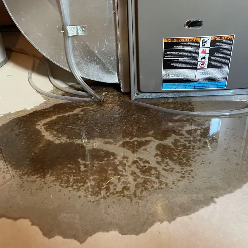 Pipe Burst and Leak Restoration in Livingston, TN