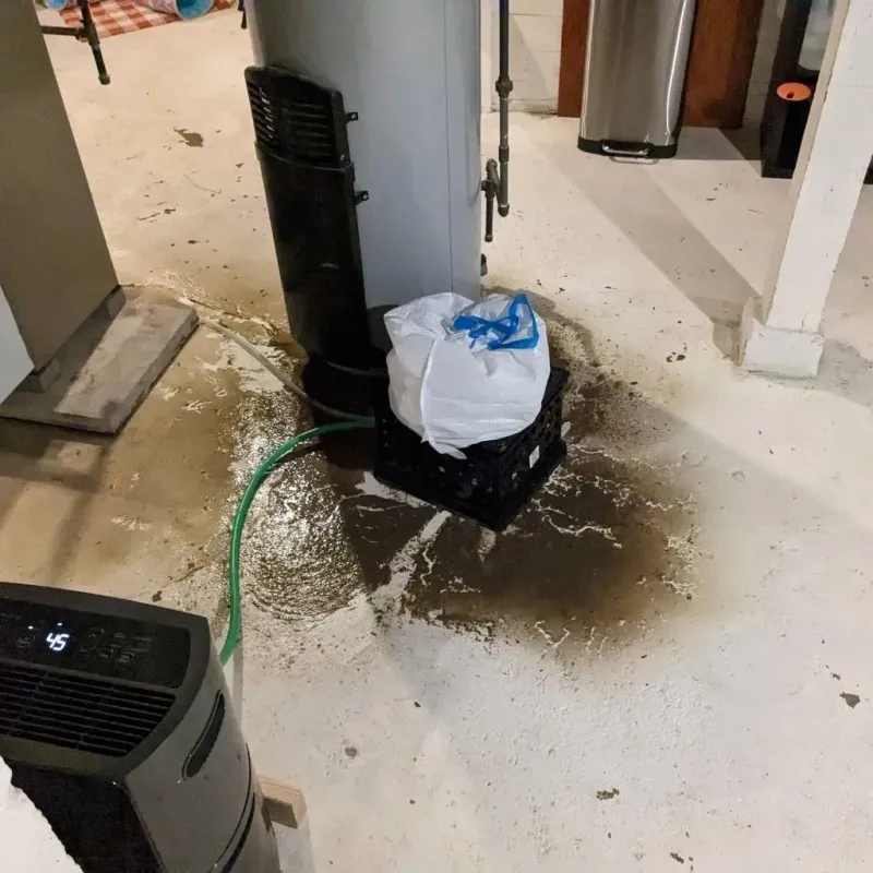 Sewage Backup Cleanup Service in Livingston, TN
